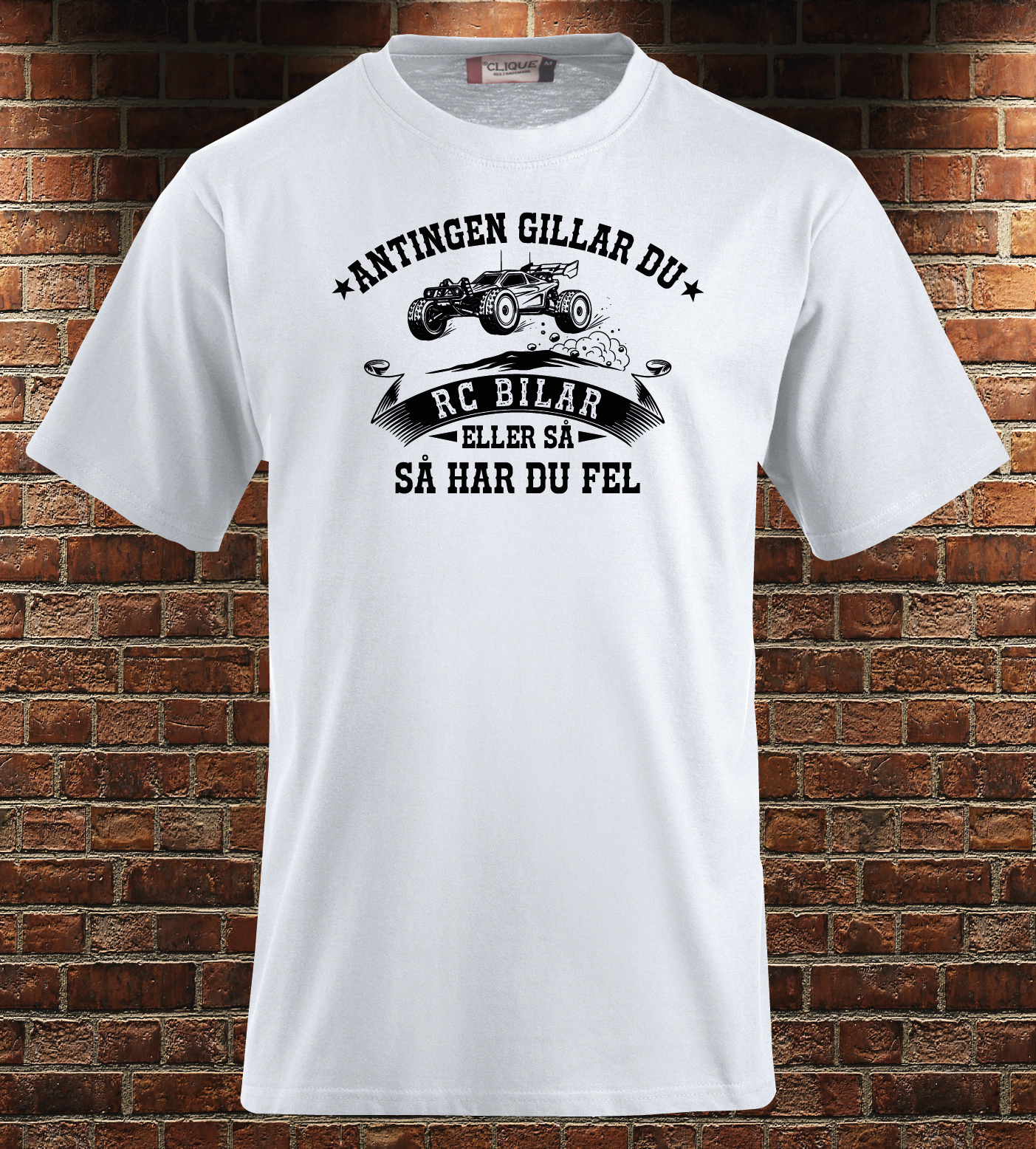 Antingen gillar du RC bilar...